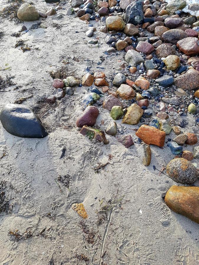 Strandappartement Steinberghaff "Farborg" Mit Meerblick Steinberg  Bagian luar foto