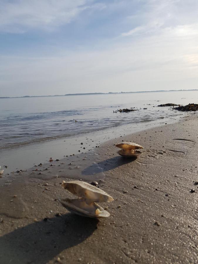 Strandappartement Steinberghaff "Farborg" Mit Meerblick Steinberg  Bagian luar foto