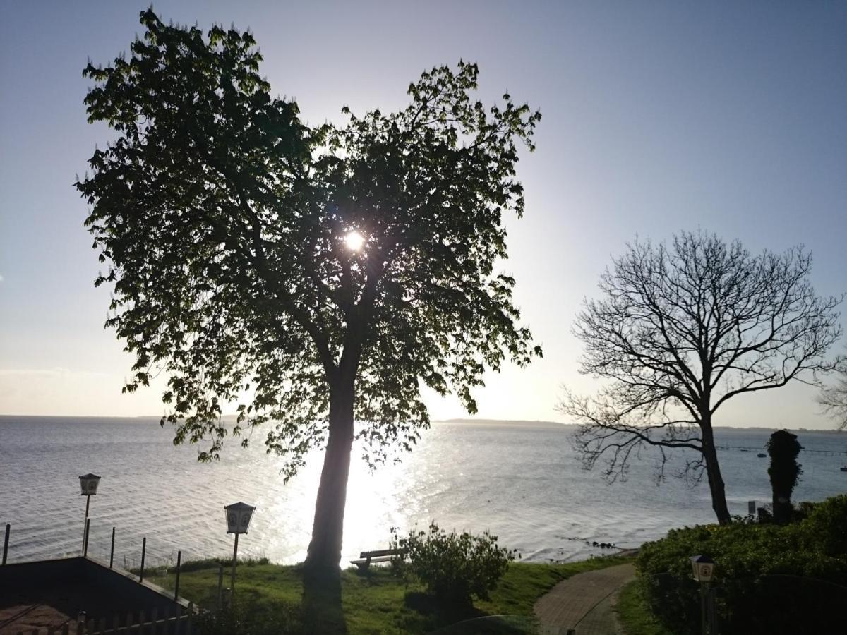 Strandappartement Steinberghaff "Farborg" Mit Meerblick Steinberg  Bagian luar foto